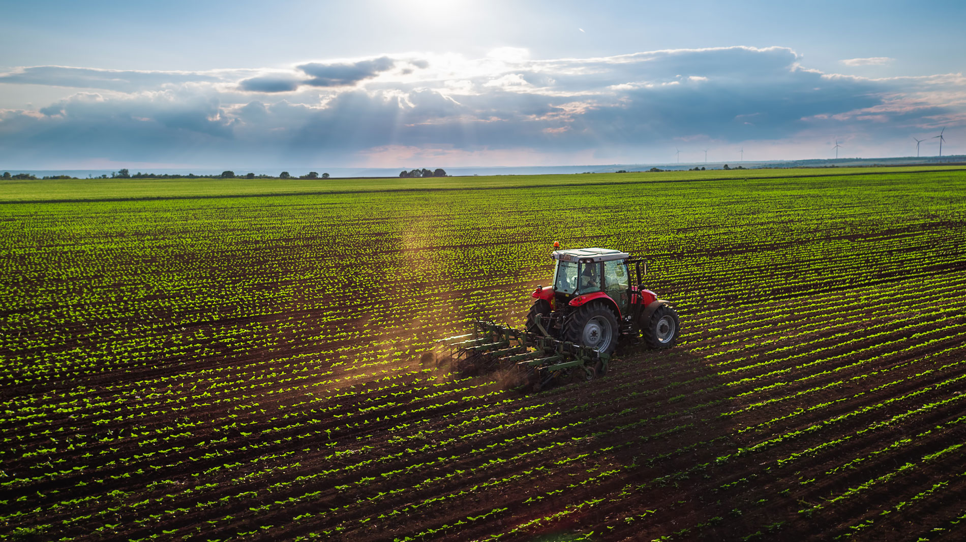 Tractor ploughing a field